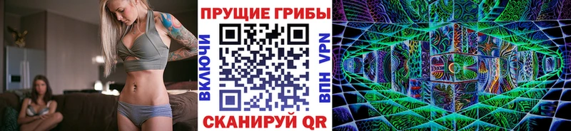 Псилоцибиновые грибы Magic Shrooms  blacksprut вход  Кирово-Чепецк 