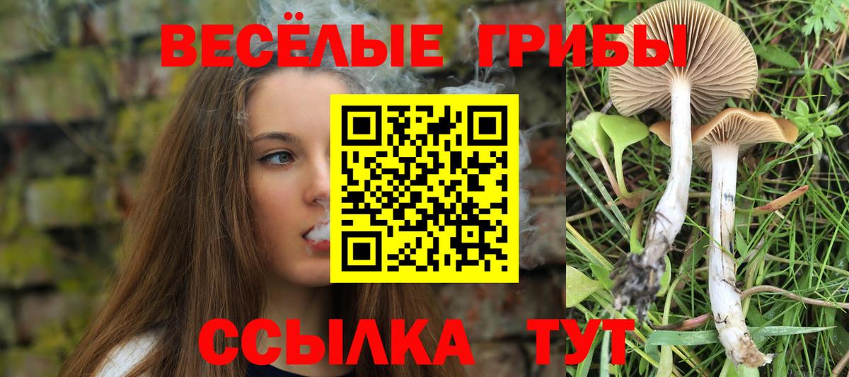 Кирово-Чепецк  Галлюциногенные грибы MAGIC MUSHROOMS  Вход с VPN 